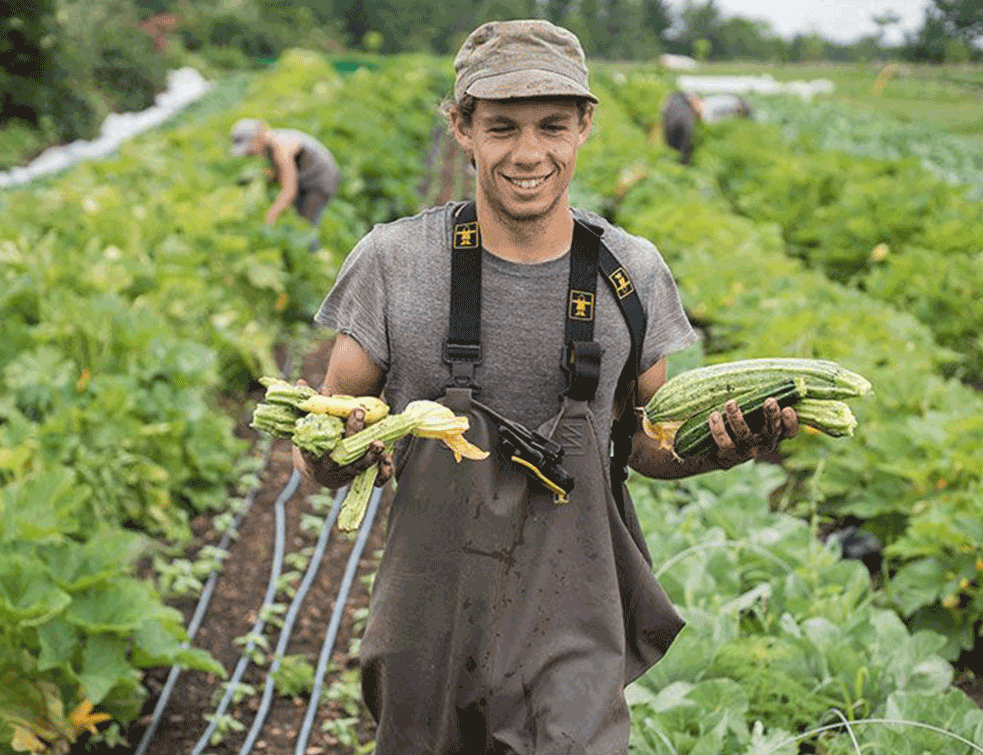 farmer