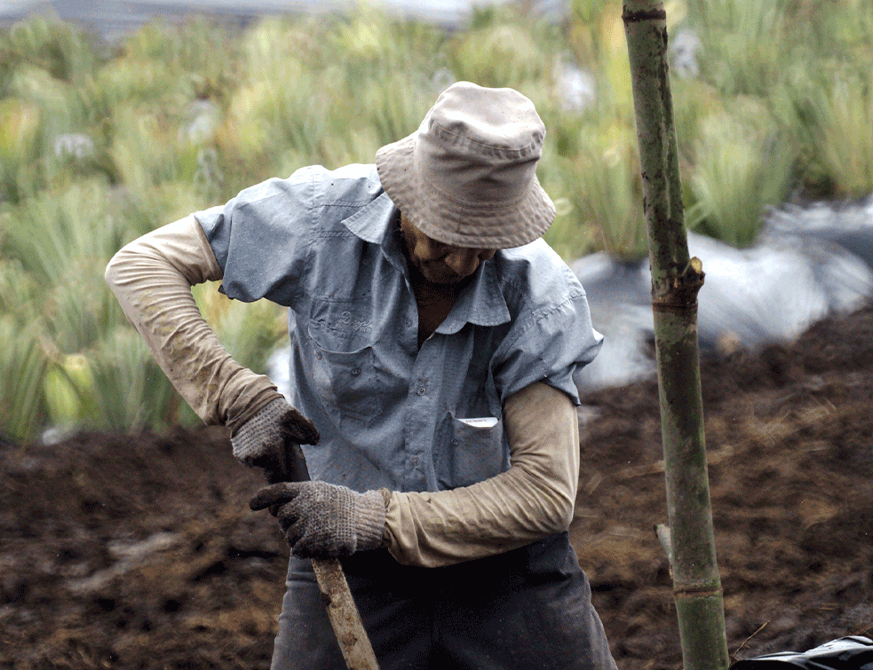 farmer