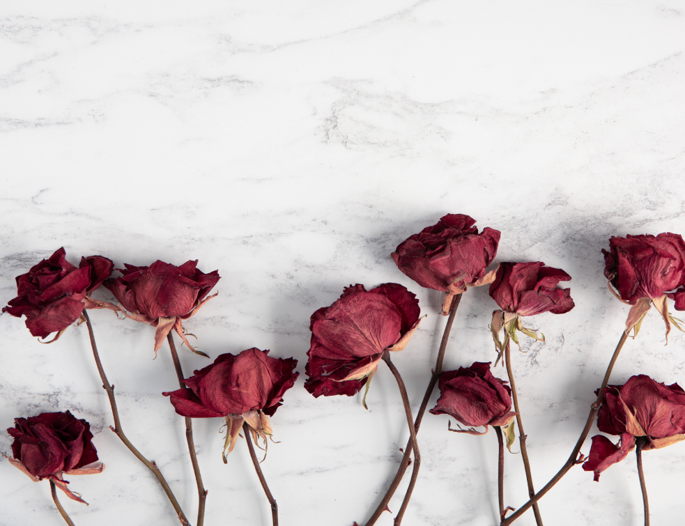 cvece2Unsplash