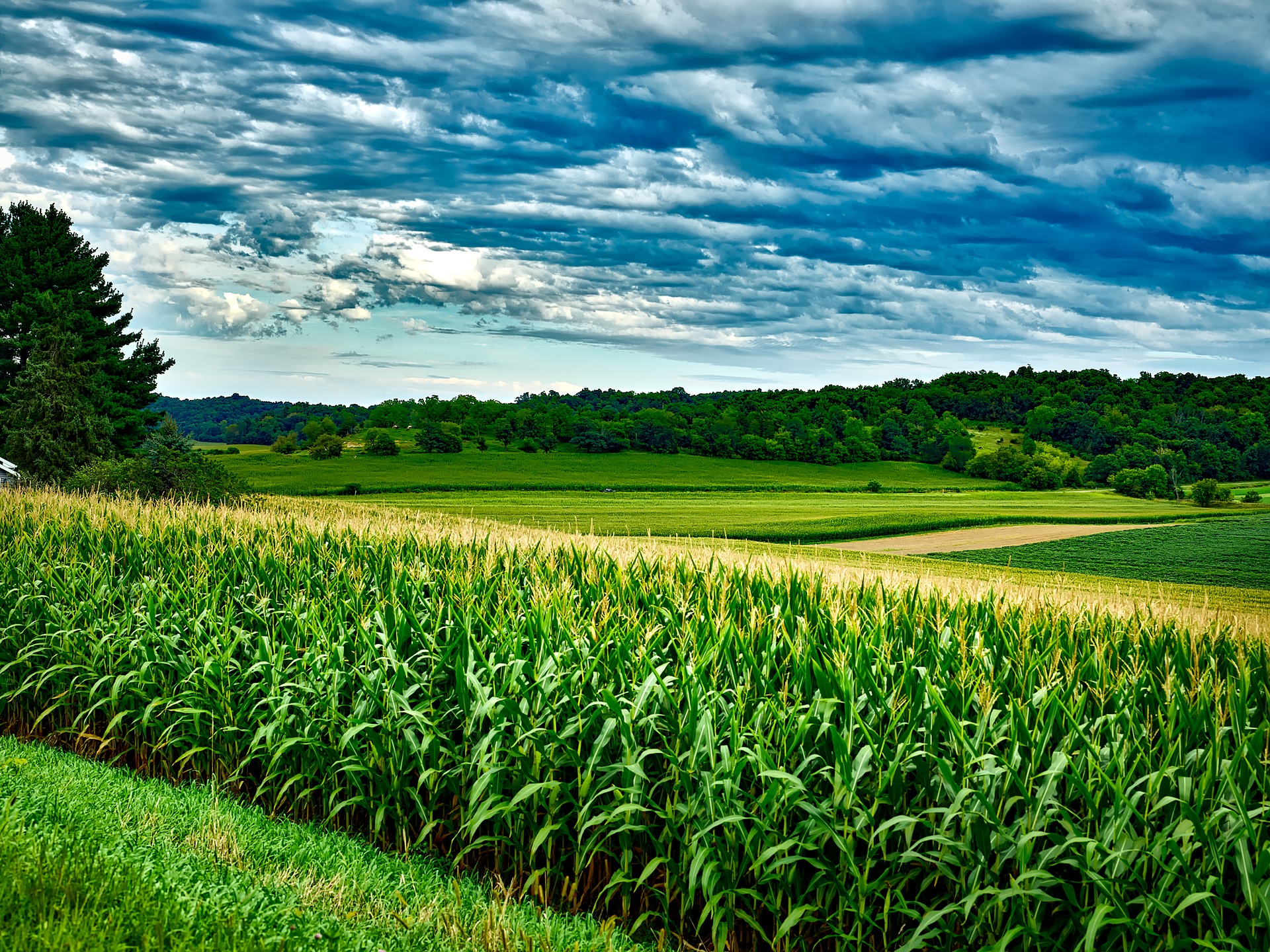 wisconsin-1808154_1920