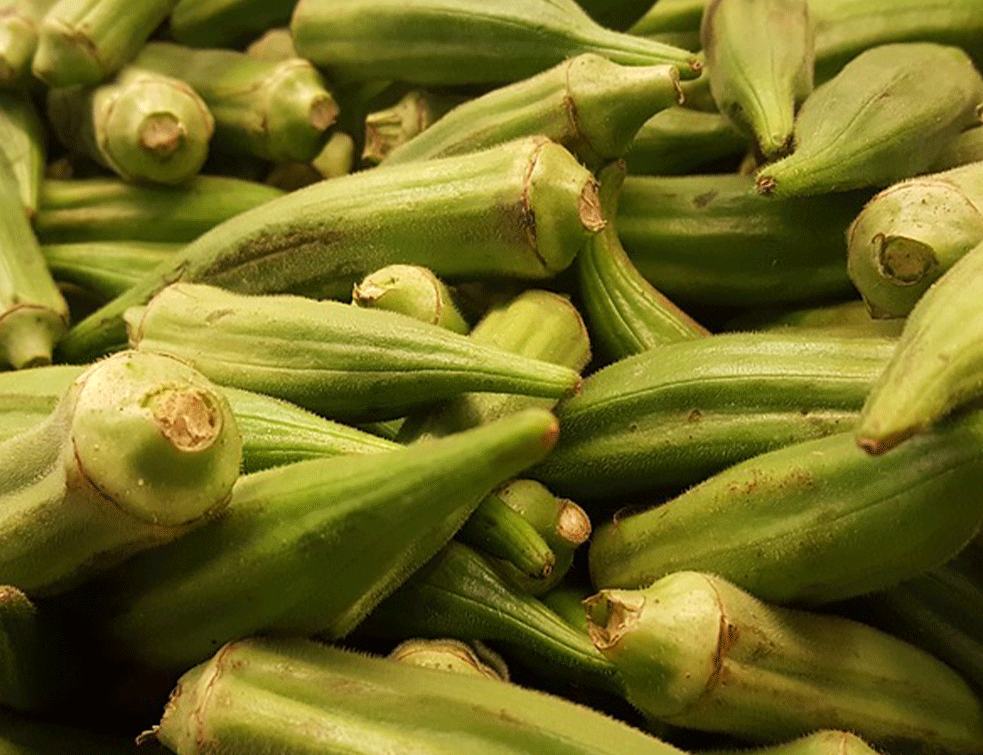 bamlja