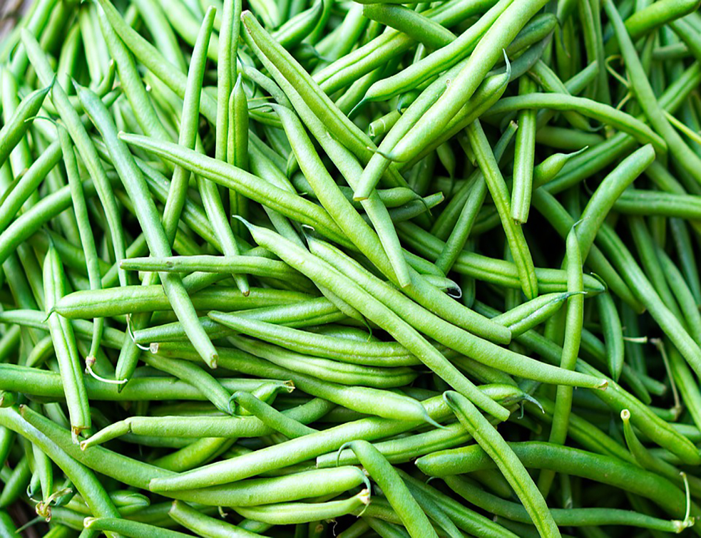 beans-4523422_960_720