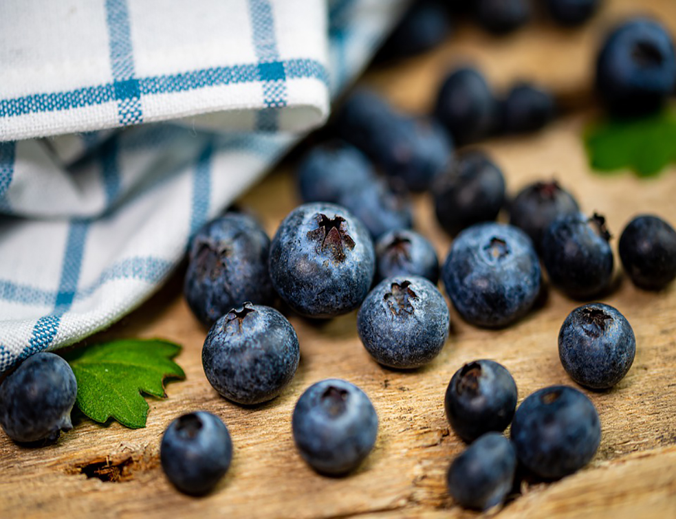 blueberries-4672973_960_720