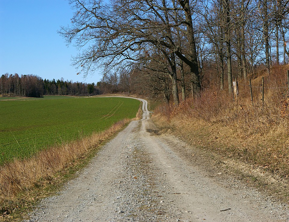 dirt-road-726896_960_720