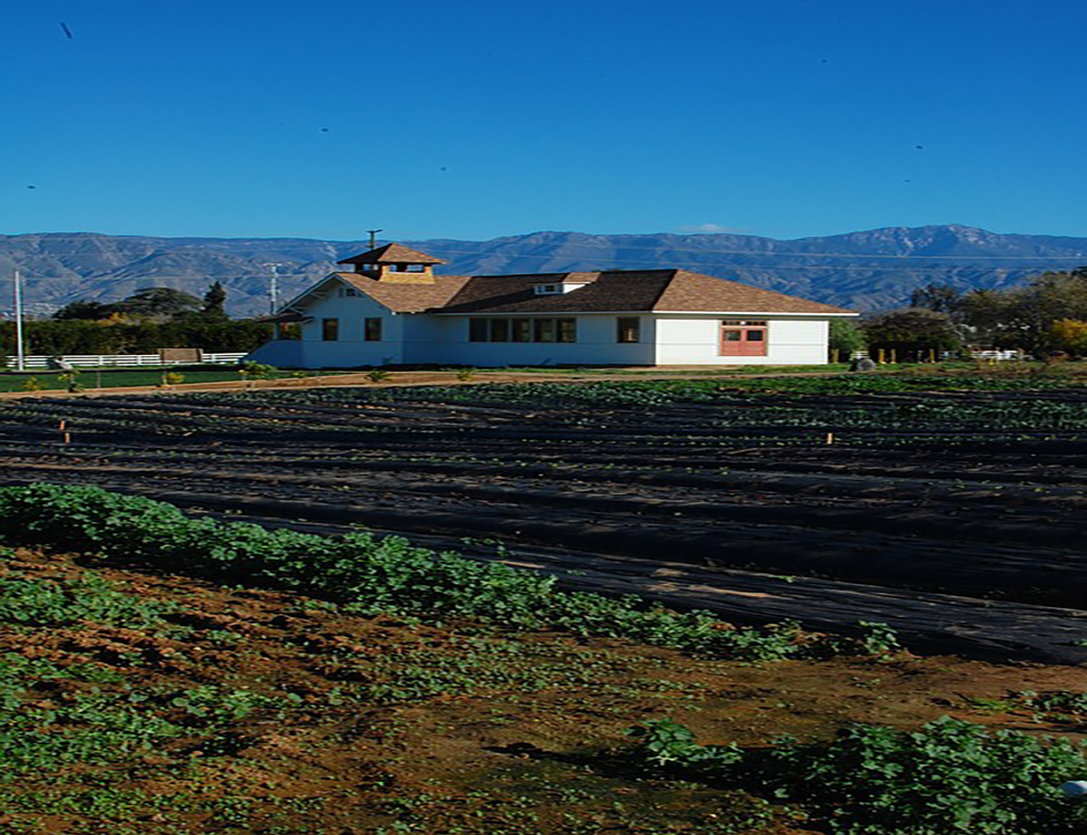 farm-580774_960_720