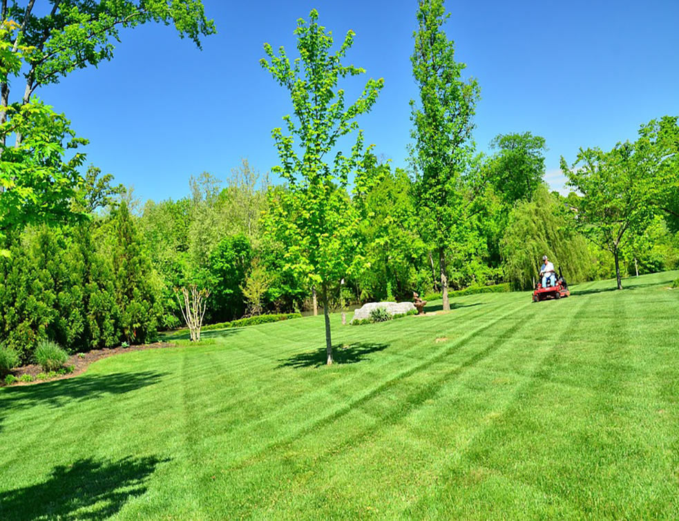 lawn-care-643558_960_720