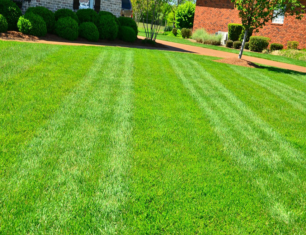 lawn-care-643563_960_720