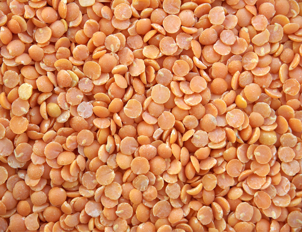 lentils-628468_960_720