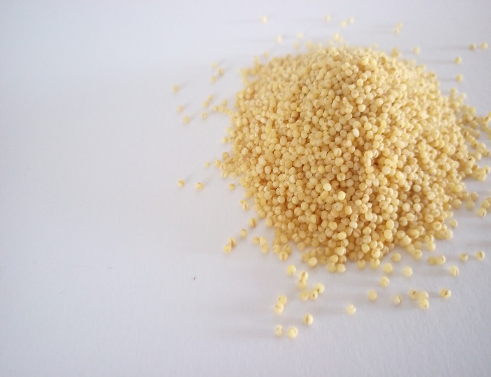 millet-3879976_960_720
