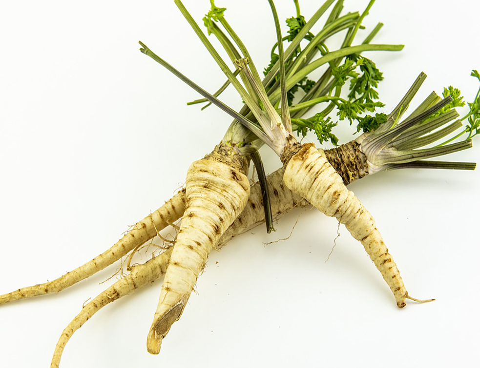 parsley-4546757_960_720