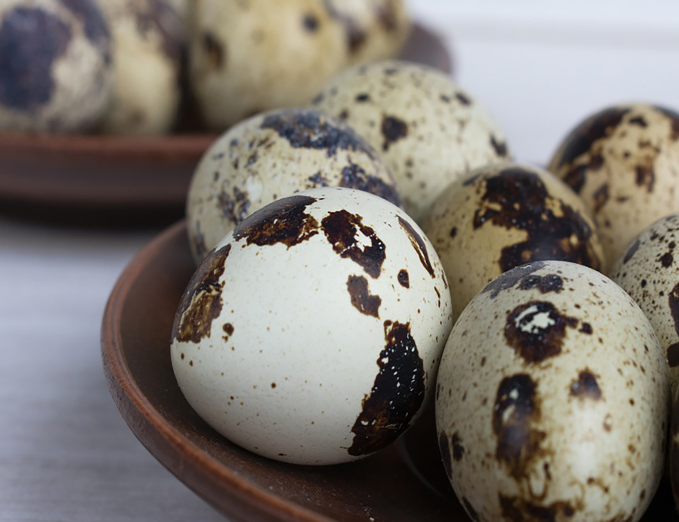 quail-eggs-4386809_960_720