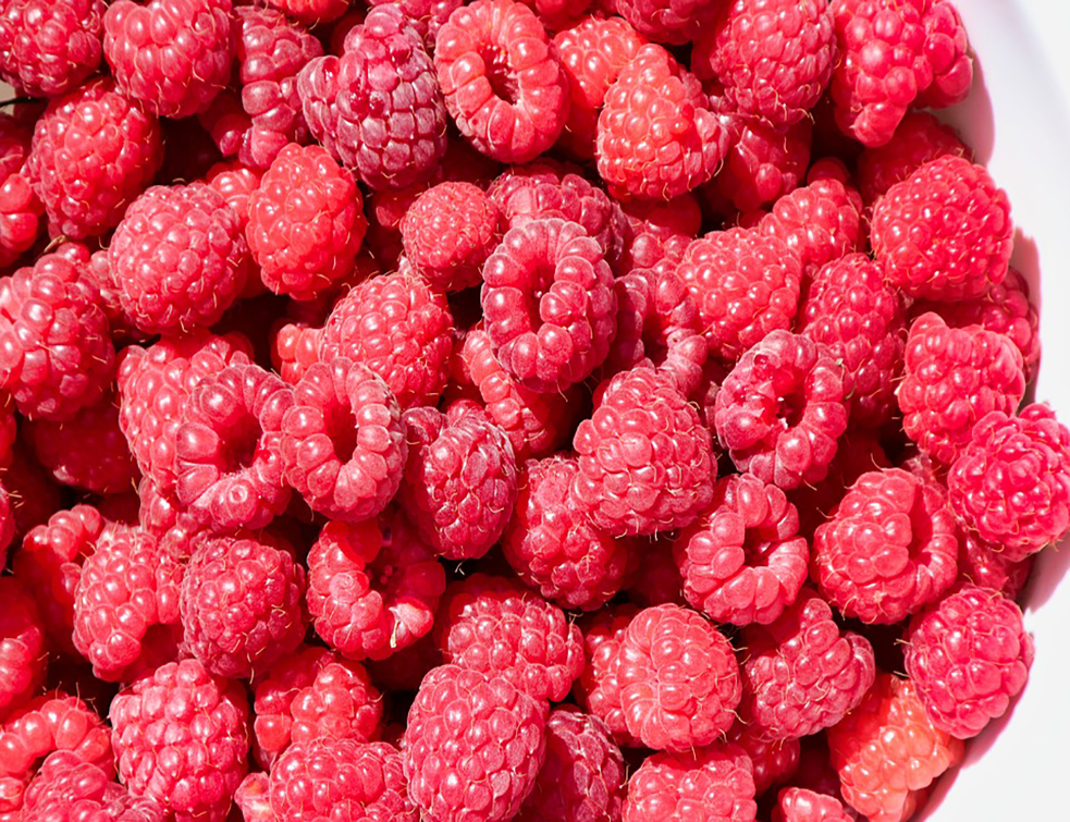 raspberries-4003440_960_720