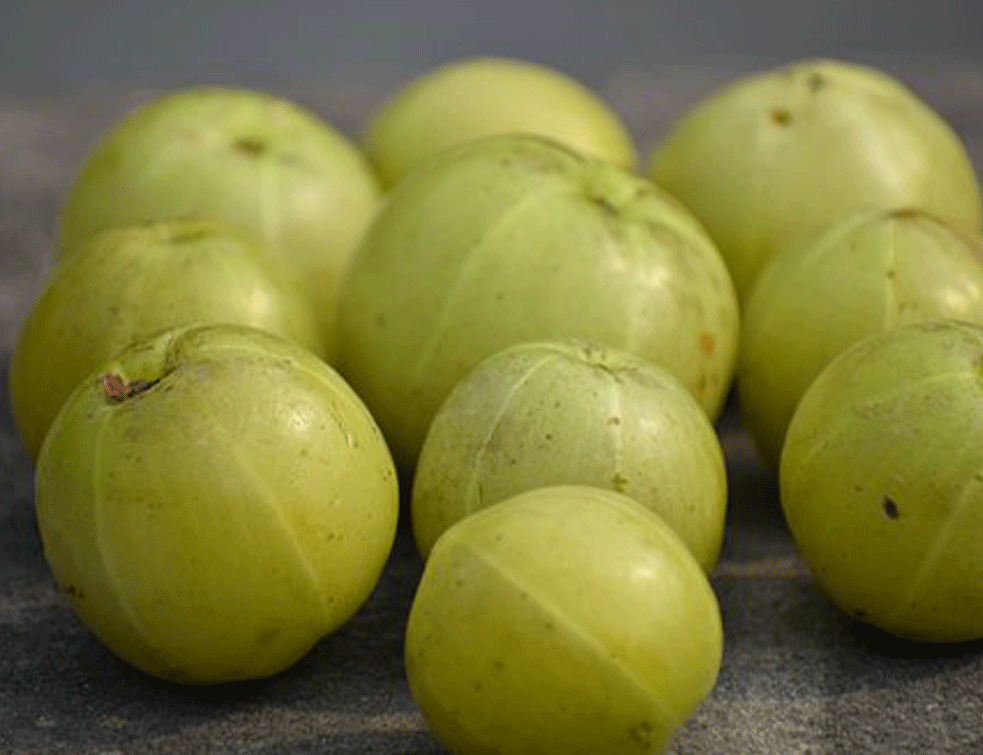 amla