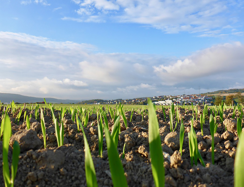 field-4501040_960_720