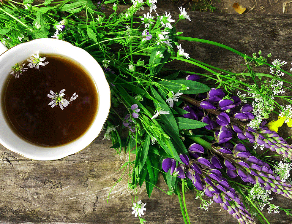 lavanda