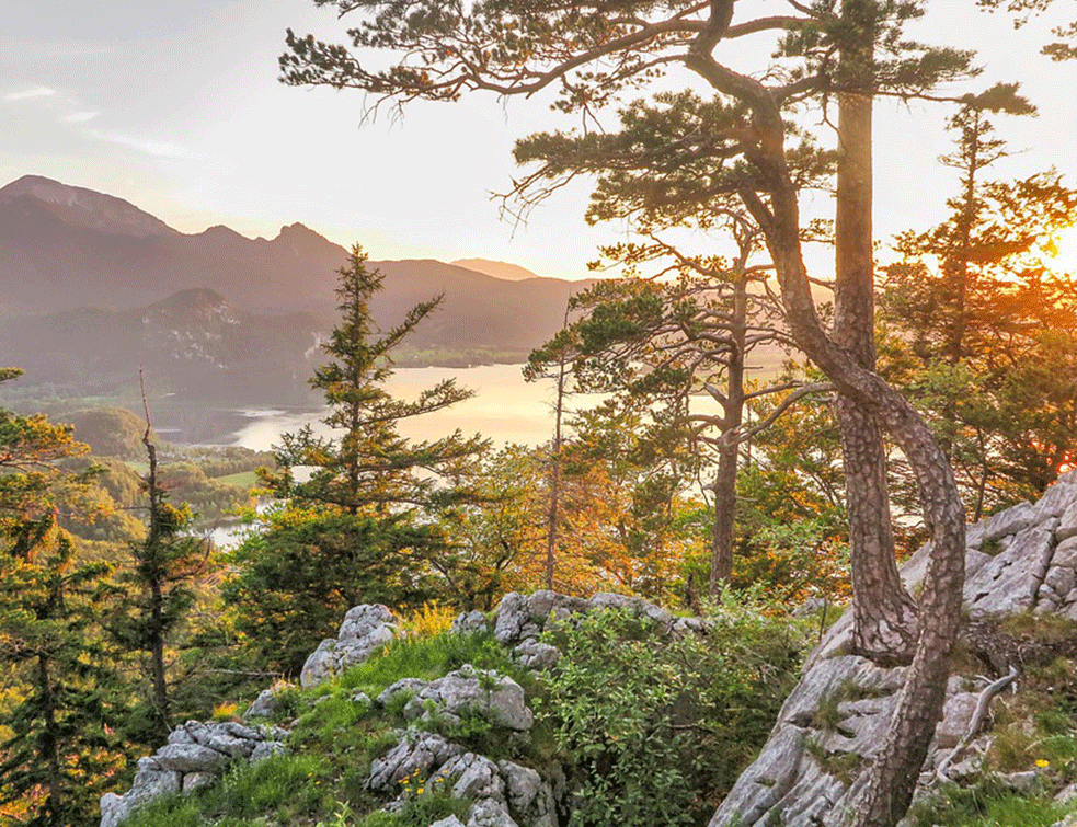 planina