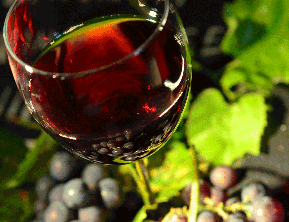 wino