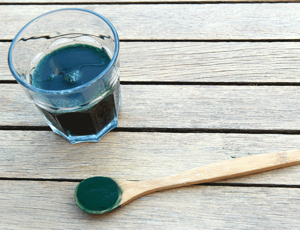 spirulina1