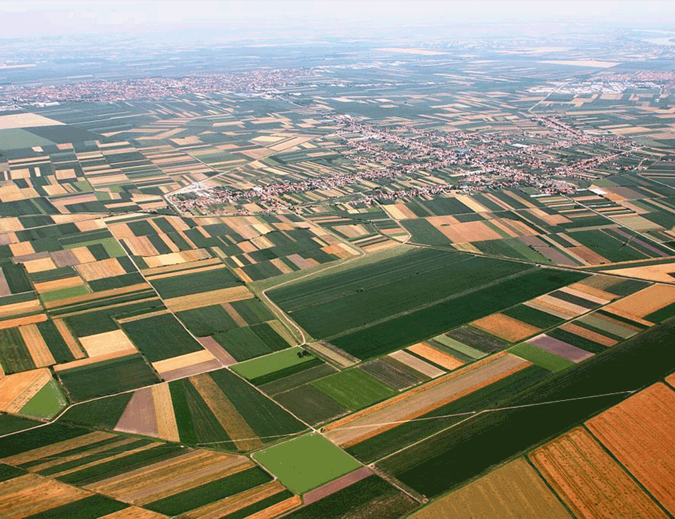 vojvodina