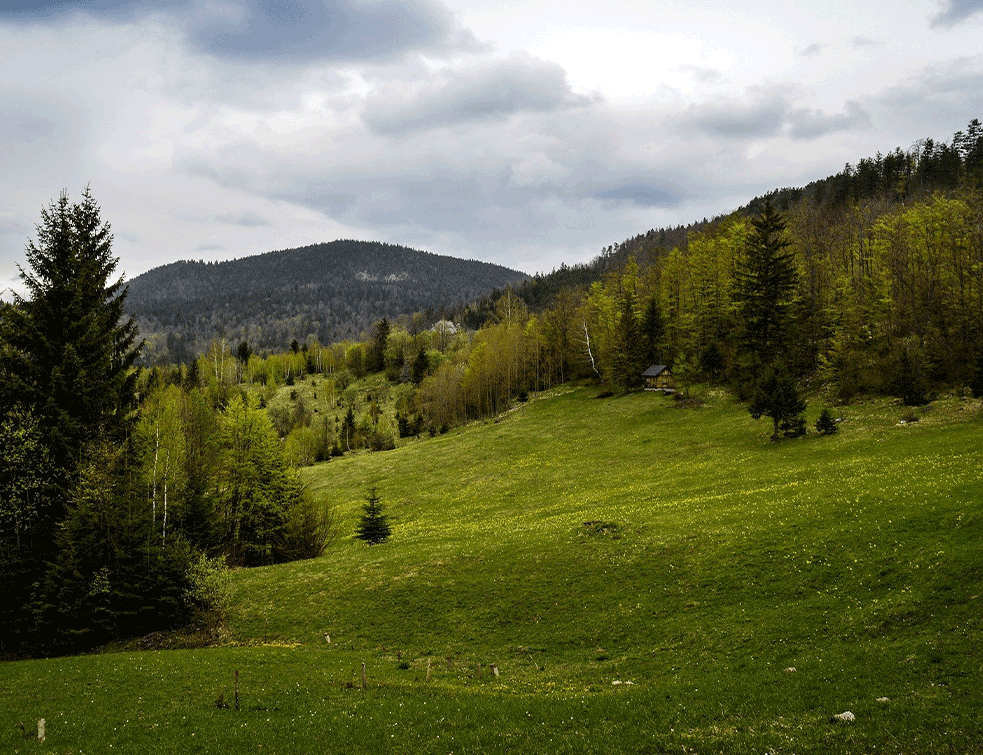 SRBIJA