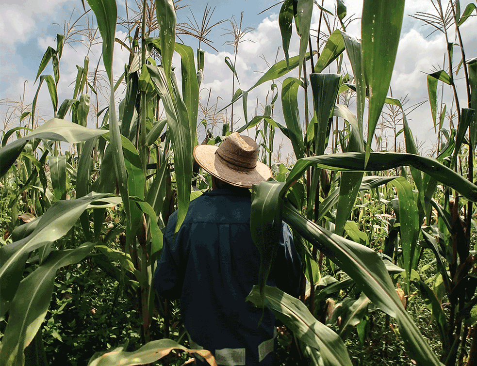 farmer