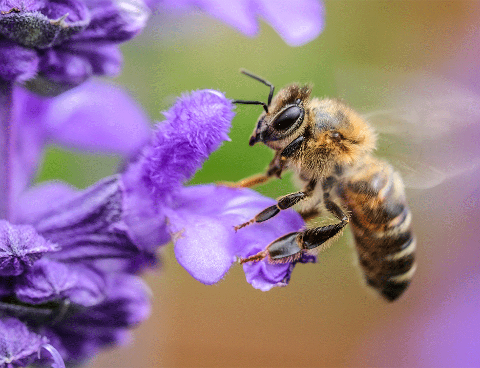 oprasivanjeUnsplash