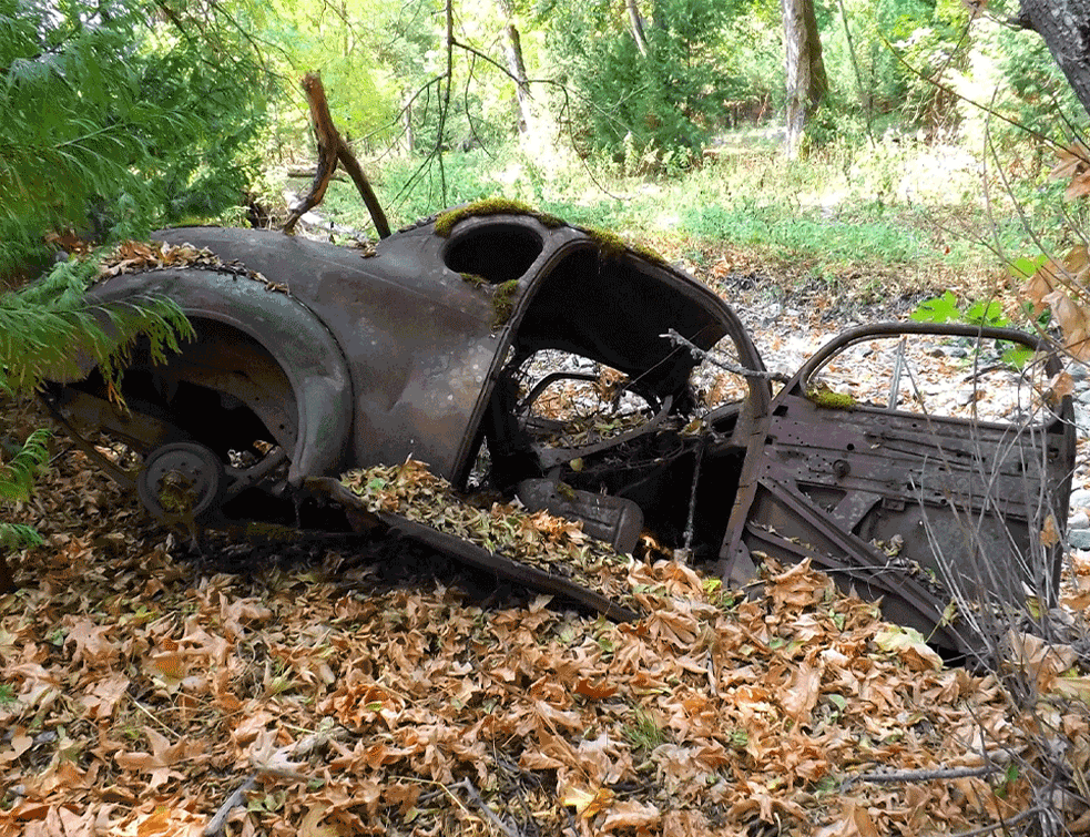 STARI-AUTO