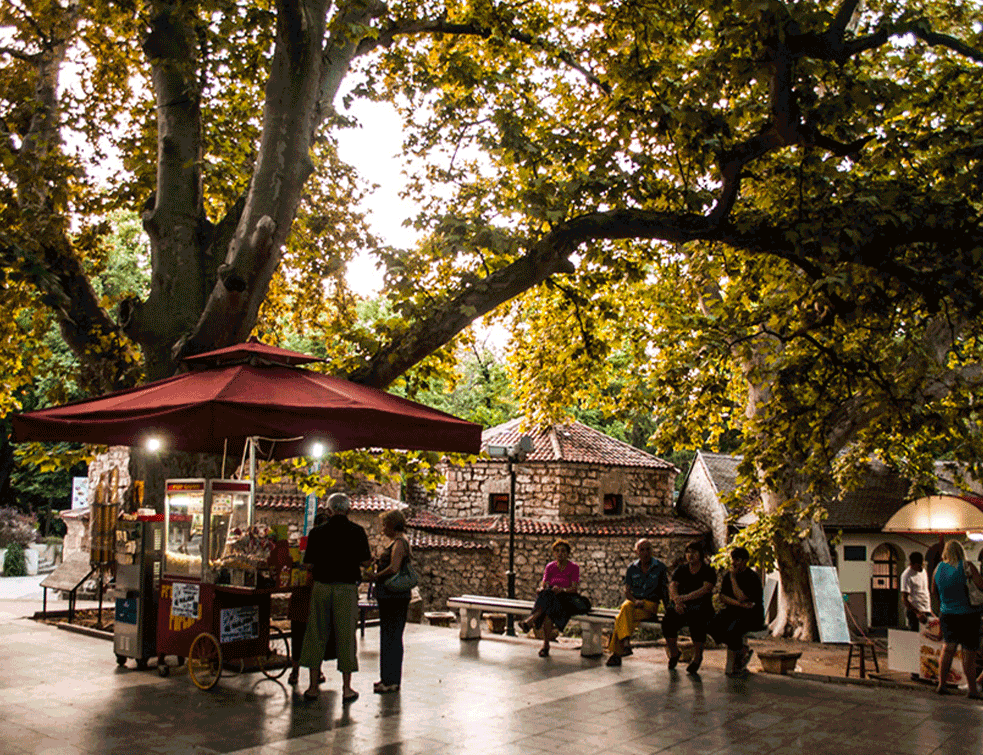 Foto: sokobanja.rs