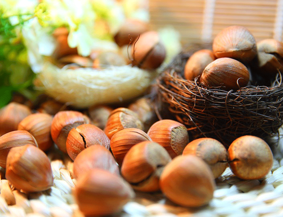 Foto:pixabay