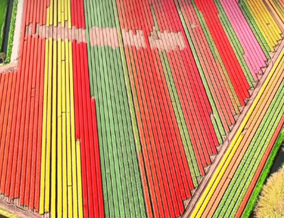 Foto:Printscreen/instagram